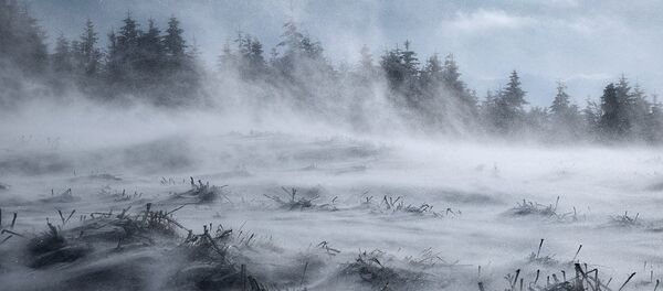 Territorios cubiertos de nieve - Sputnik Mundo