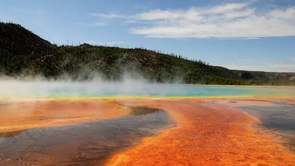 El Parque nacional de Yellowstone (imagen ilustrativa)