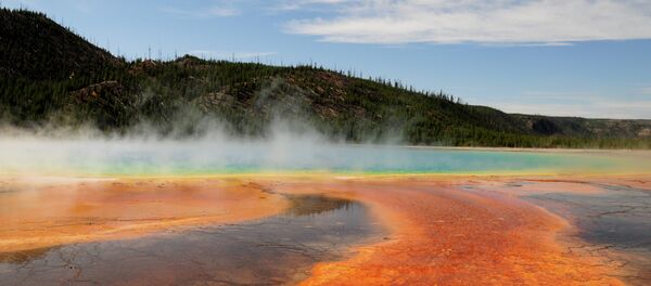 El Parque nacional de Yellowstone (imagen ilustrativa) El Parque nacional de Yellowstone (imagen ilustrativa) - Sputnik Mundo