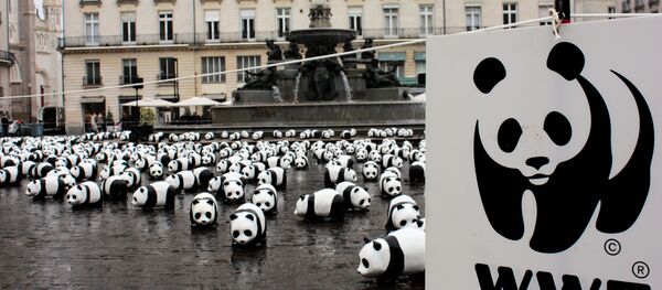 Logo de WWF - Sputnik Mundo