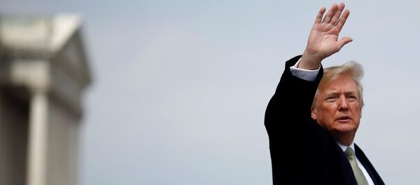 Donald Trump, presidente de EEUU Donald Trump, presidente de EEUU - Sputnik Mundo