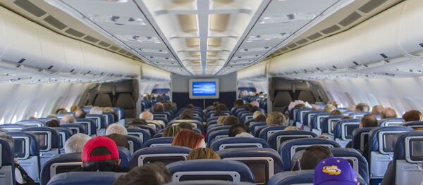 Cabina de un avión (imagen referencial) - Sputnik Mundo