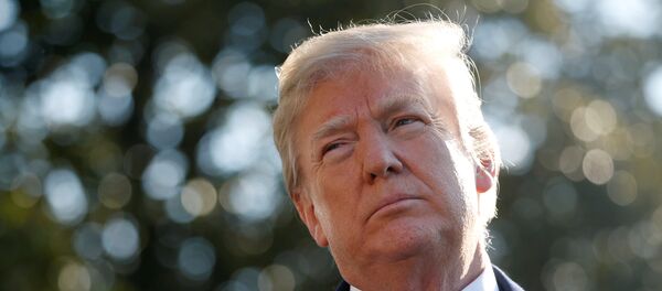 Donald Trump, el presidente de EEUU - Sputnik Mundo