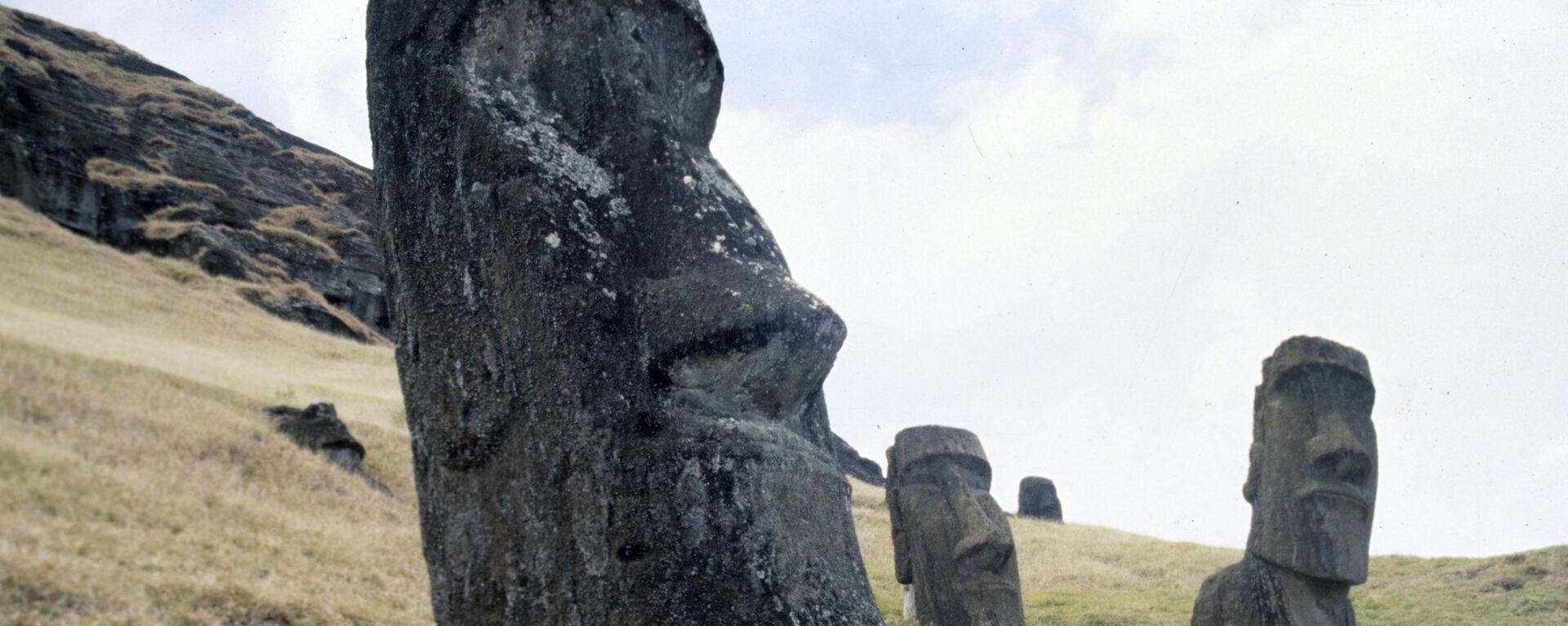 Moáis, estatuas de la Isla de Pascua - Sputnik Mundo, 1920, 03.03.2023