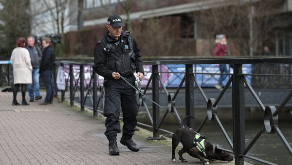 Un policía británico - Sputnik Mundo