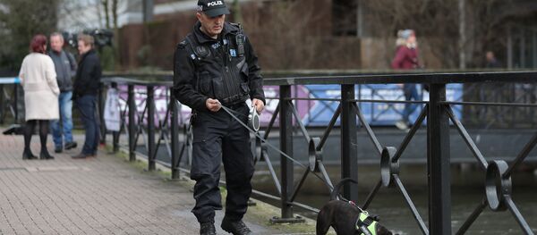Un policía británico - Sputnik Mundo
