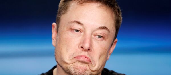 Elon Musk, ejecutivo de Tesla Motors y SpaceX - Sputnik Mundo