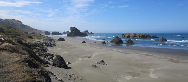 Una playa en EEUU - Sputnik Mundo