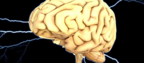 Cerebro Cerebro - Sputnik Mundo