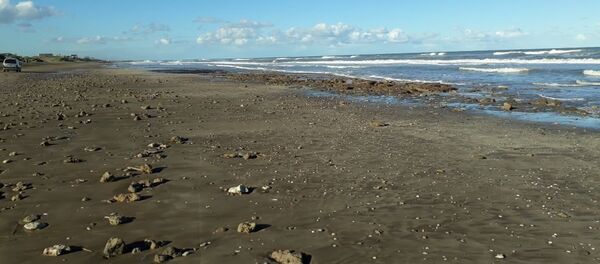 Playa argentina donde sucedió el hallazgo de un gliptodonte juvenil - Sputnik Mundo