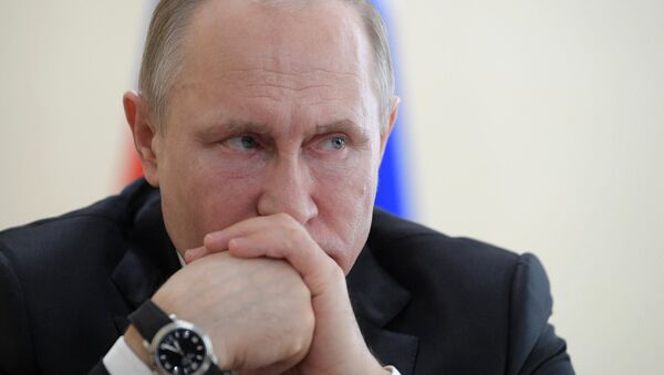 Vladímir Putin, el presidente de Rusia - Sputnik Mundo