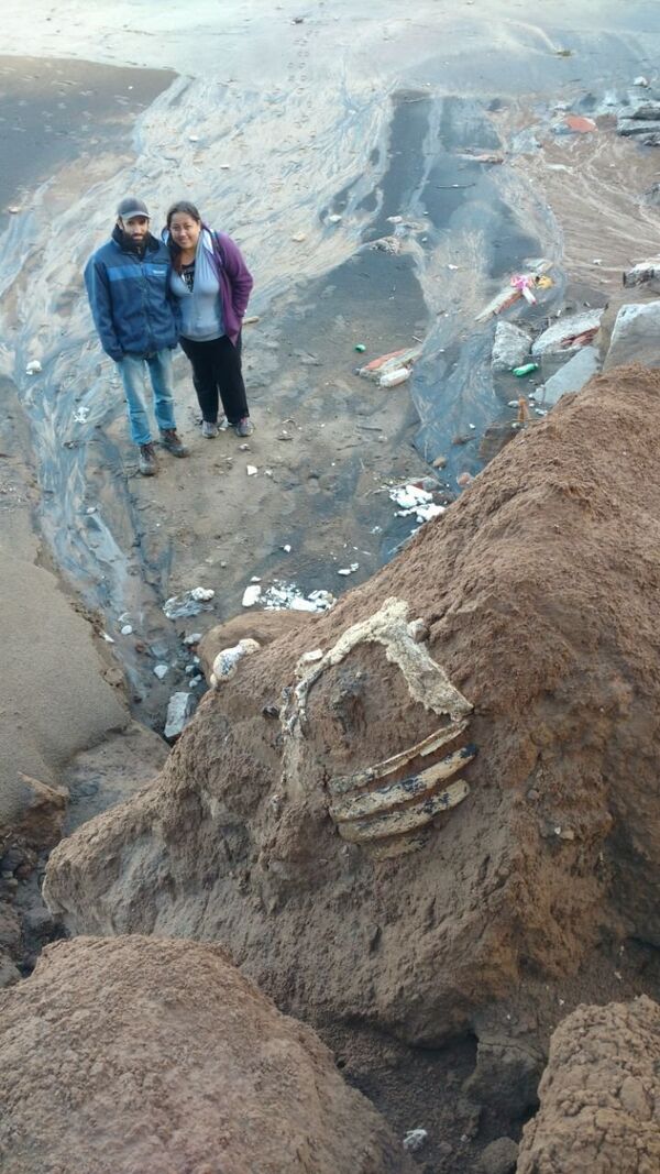 Juan Marcelo Lima y Marianela Amaya, protagonistas del hallazgo del perezoso gigante en Argentina. - Sputnik Mundo