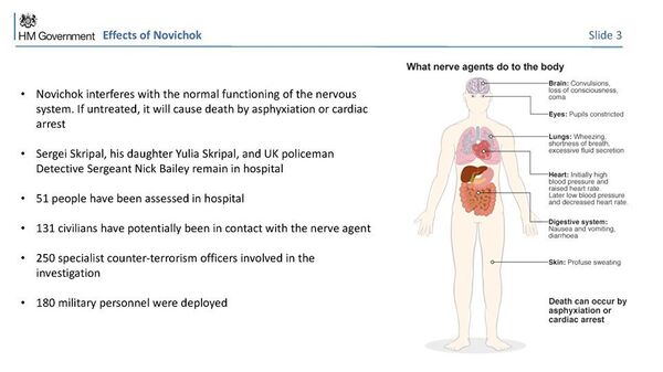 Diapositiva 3 de la presentación británica sobre el incidente de Salisbury - Sputnik Mundo