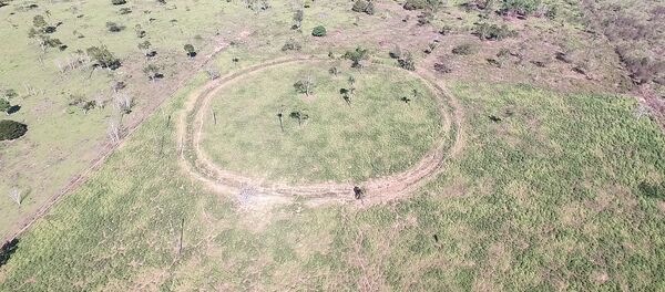 Uno de los geoglifos encontrados en la Cuenca del Amazonas Uno de los geoglifos encontrados en la Cuenca del Amazonas - Sputnik Mundo