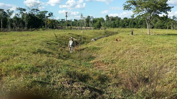 Un miembro del equipo de arqueólogos de la Universidad de Exeter en uno de los geoglifos encontrados en la Cuenca del Amazonas Un miembro del equipo de arqueólogos de la Universidad de Exeter en uno de los geoglifos encontrados en la Cuenca del Amazonas - Sputnik Mundo