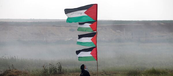 La Marcha del Retorno en la Franja de Gaza La Marcha del Retorno en la Franja de Gaza - Sputnik Mundo