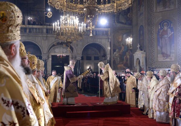 Bikinis, amor animal y una propuesta de matrimonio: las mejores imágenes que nos deja marzo Bikinis, amor animal y una propuesta de matrimonio: las mejores imágenes que nos deja marzo - Sputnik Mundo