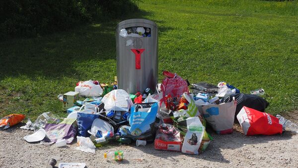 Basura, imagen referencial - Sputnik Mundo