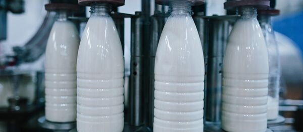 Una fábrica de leche - Sputnik Mundo