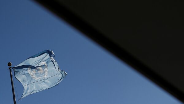 La bandera de la ONU - Sputnik Mundo