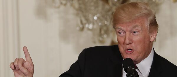 Donald Trump, el presidente de EEUU Donald Trump, el presidente de EEUU - Sputnik Mundo