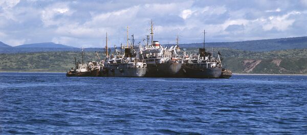 Barcos pesqueros (imagen referencial) Barcos pesqueros (imagen referencial) - Sputnik Mundo