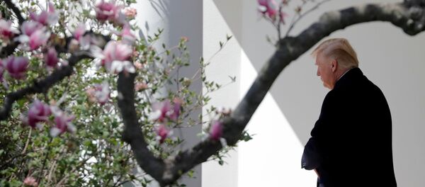 Donald Trump, presidente de EEUU - Sputnik Mundo