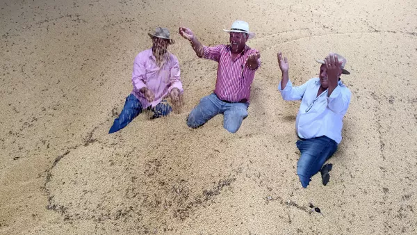 Una granja de soja en Brasil