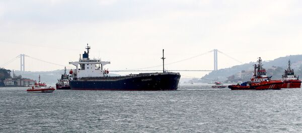 El buque de carga Vitaspirit El buque de carga Vitaspirit - Sputnik Mundo