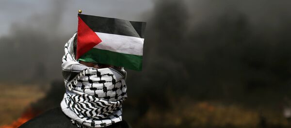Un manifestante con la bandera de Palestina en la Franja de Gaza - Sputnik Mundo