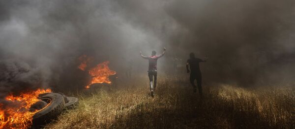 Protestas de los palestinos de Gaza en la frontera con Israel Protestas de los palestinos de Gaza en la frontera con Israel - Sputnik Mundo