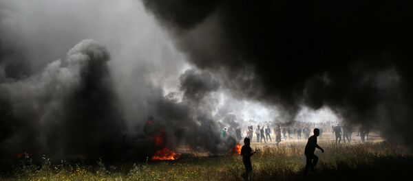 Protestas de los palestinos de Gaza en la frontera con Israel - Sputnik Mundo