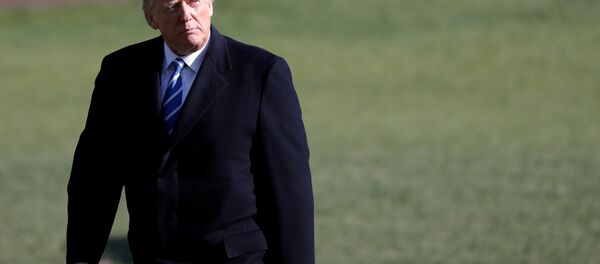 Donald Trump, presidente de EEUU - Sputnik Mundo