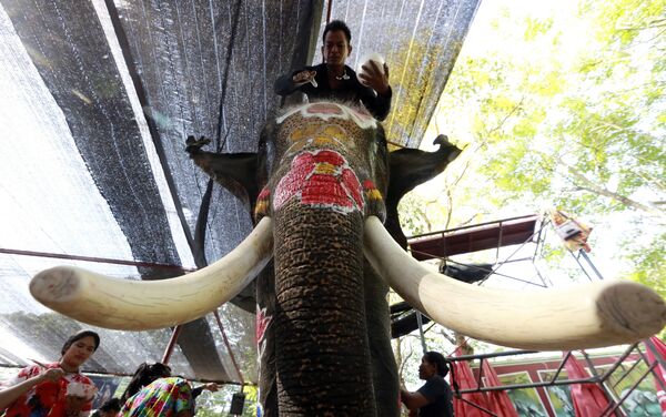 Celebración a lo grande: el Año Nuevo llega a Tailandia - Sputnik Mundo