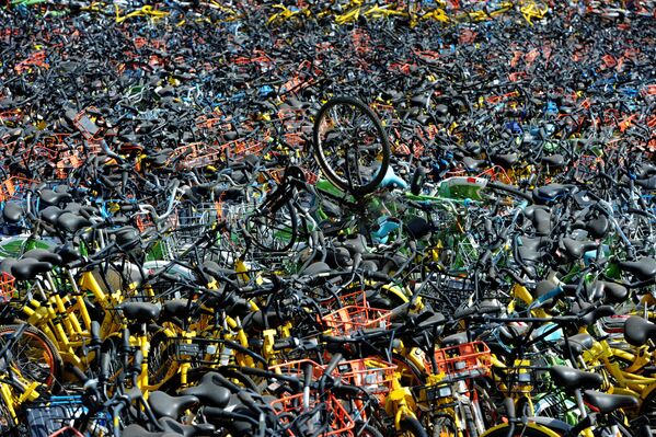 Descubre las fotos más destacadas y emotivas de la semana - Sputnik Mundo