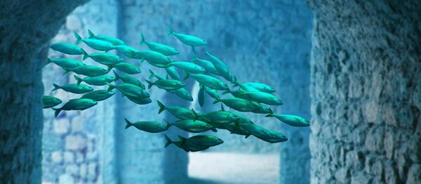 Peces en un edificio submarino (ilustración) Peces en un edificio submarino (ilustración) - Sputnik Mundo