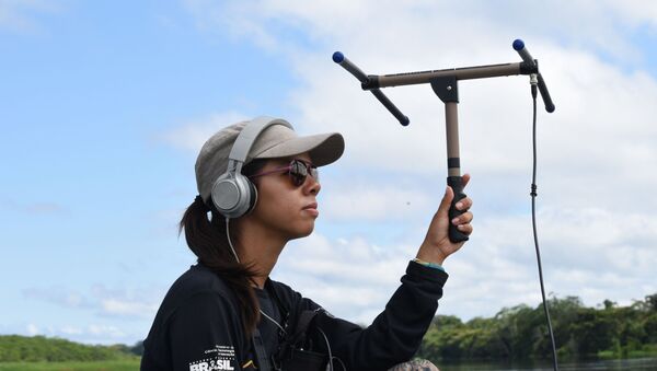 La bióloga mexicana, Wezddy del Toro Orozco, explora los secretos de la Amazonía La bióloga mexicana, Wezddy del Toro Orozco, explora los secretos de la Amazonía - Sputnik Mundo