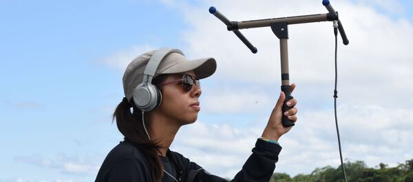 La bióloga mexicana, Wezddy del Toro Orozco, explora los secretos de la Amazonía La bióloga mexicana, Wezddy del Toro Orozco, explora los secretos de la Amazonía - Sputnik Mundo