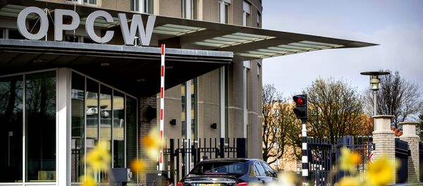 La sede de la OPAQ OPAQ en La Haya - Sputnik Mundo