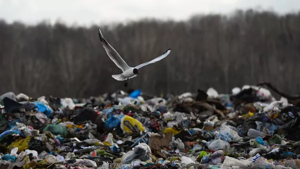 Acumulación de basura - Sputnik Mundo