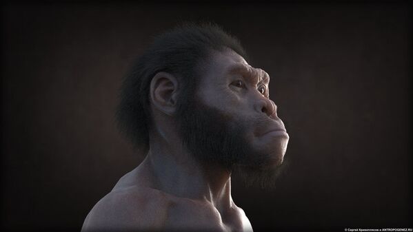 Кадр из мультфильма Homo naledi: Встреча двух миров - Sputnik Mundo