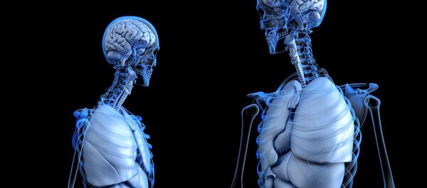 Cuerpo humano (imagen referencial) - Sputnik Mundo