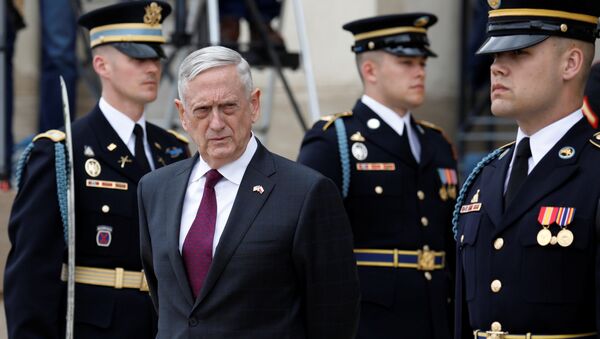 James Mattis, secretario de Defensa de EEUU - Sputnik Mundo