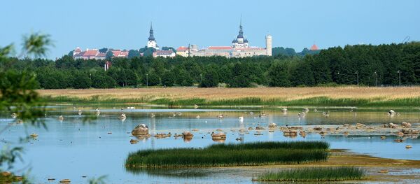 Una vista de Tallin - Sputnik Mundo