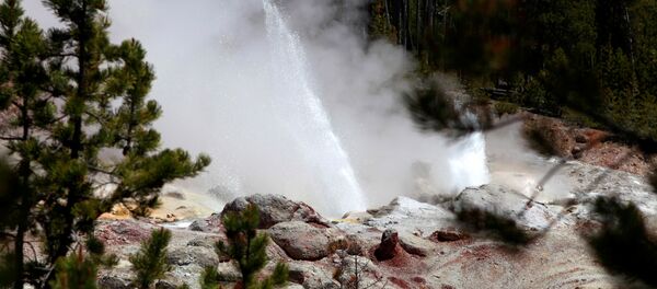 Una erupción del géiser Steamboat, en el Parque Nacional de Yellowstone (archivo) - Sputnik Mundo