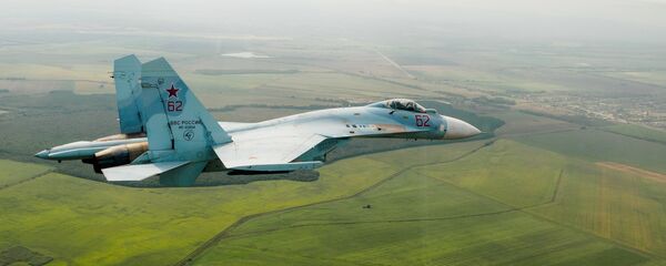 Un caza Su-27 ruso - Sputnik Mundo