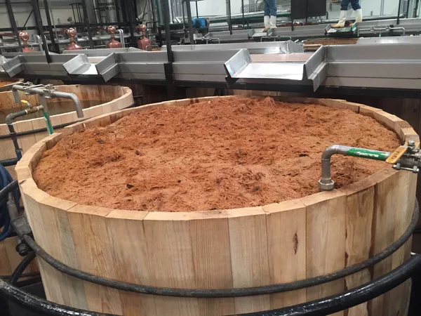 Fermentador de madera de pino Fermentador de madera de pino - Sputnik Mundo