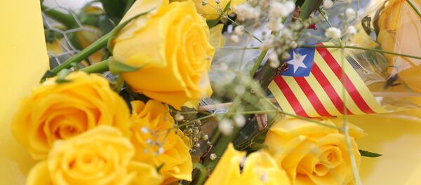 'Estelada', bandera independentista de Cataluña - Sputnik Mundo