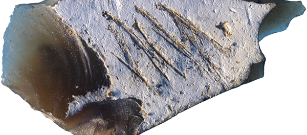 Instrumento neandertal encontrado en la cueva de Kiik-Koba en Crimea - Sputnik Mundo