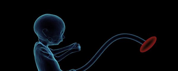 Un embrión - Sputnik Mundo